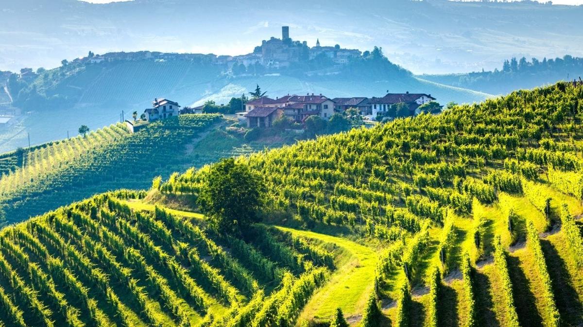 fine wine regions