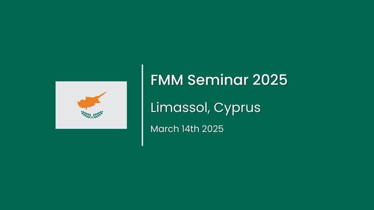 fmm seminar 2025