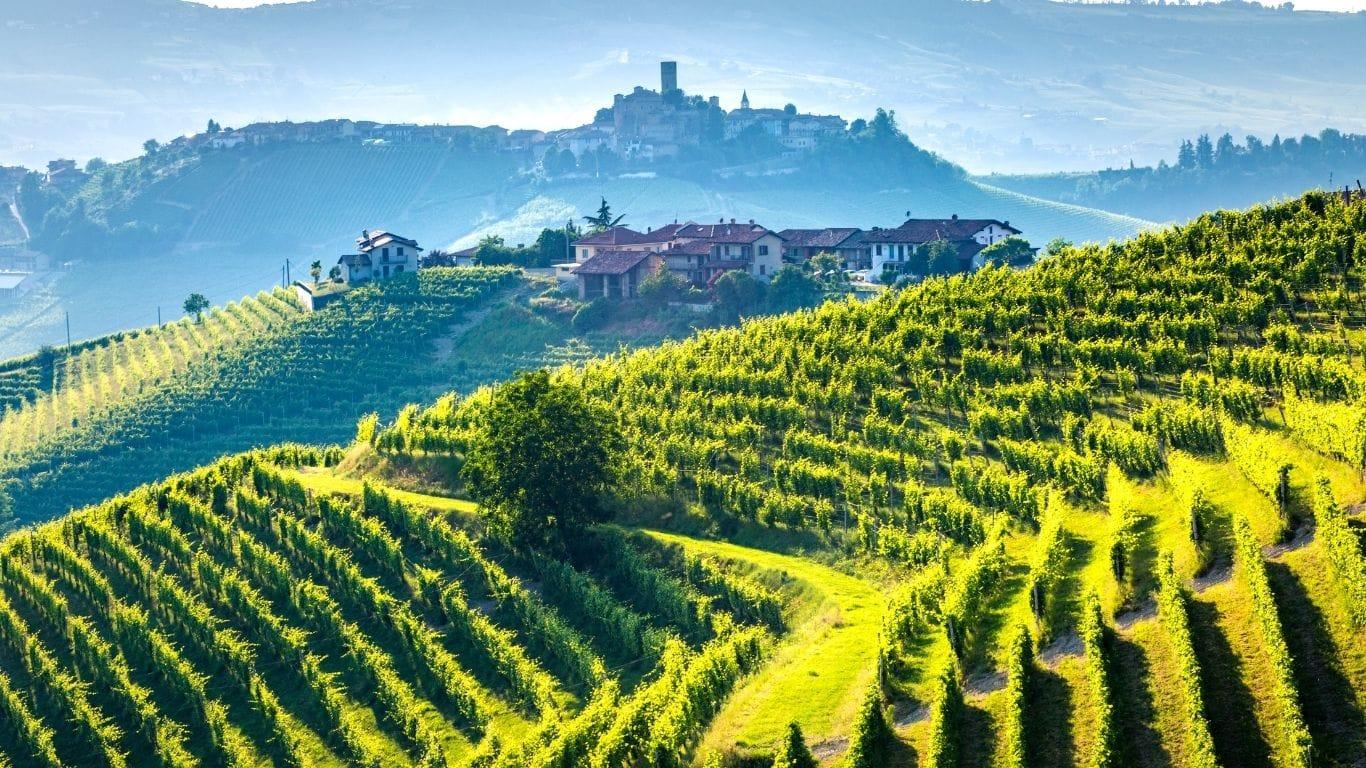 fine wine regions