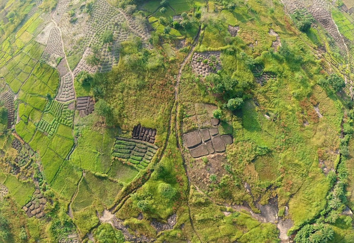 Aerial view of smallholder farm plots near Kindia, Guinea, a green patchwork of cultivated beds, paths and fields in West Africa.