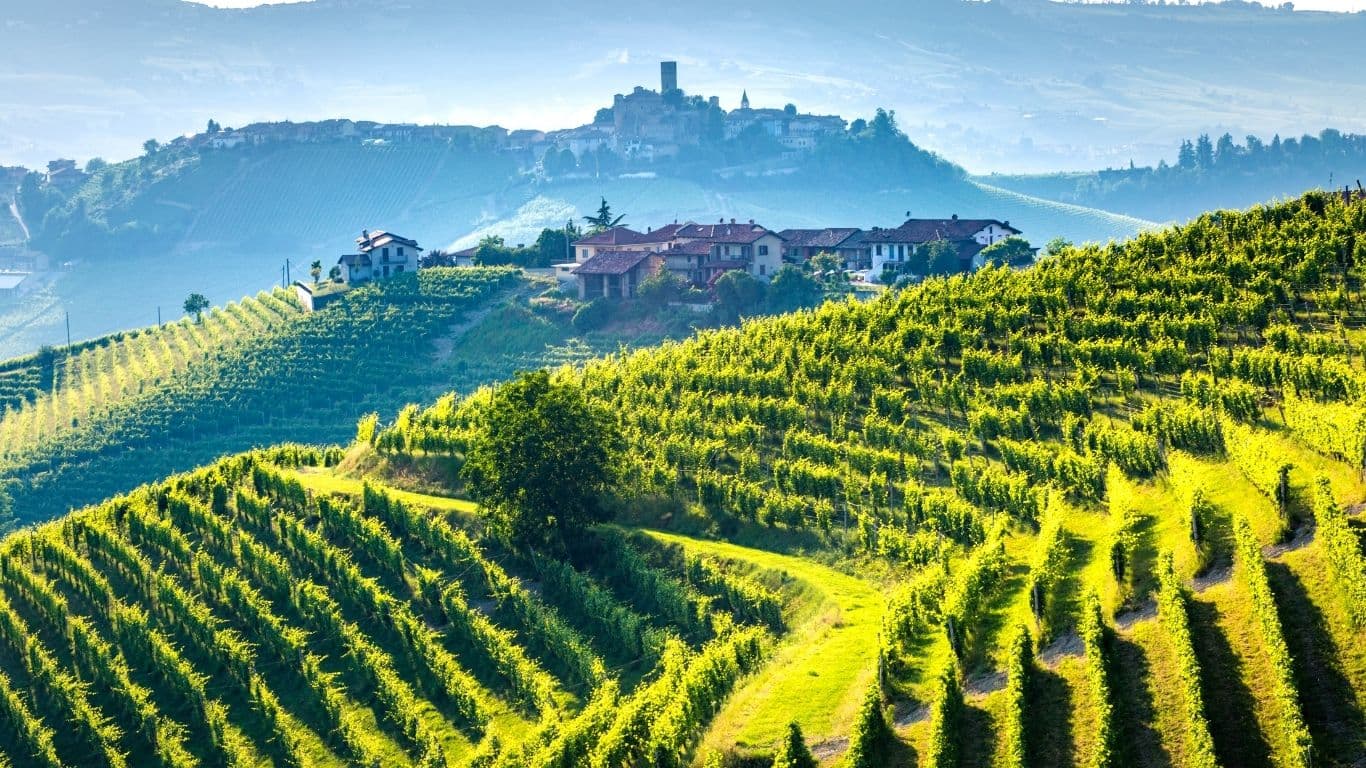 fine wine regions