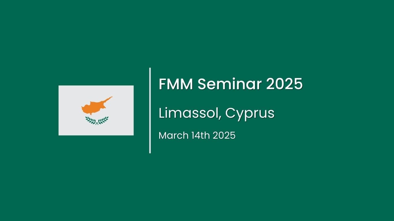 fmm seminar 2025