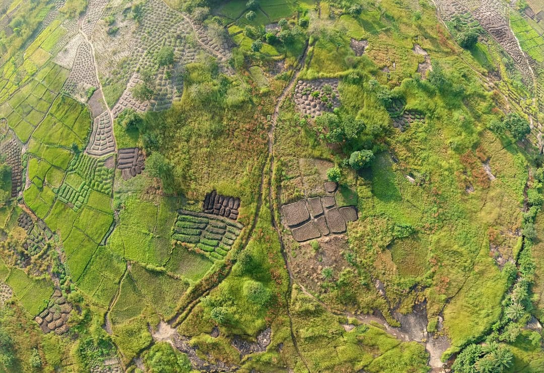 Aerial view of smallholder farm plots near Kindia, Guinea, a green patchwork of cultivated beds, paths and fields in West Africa.