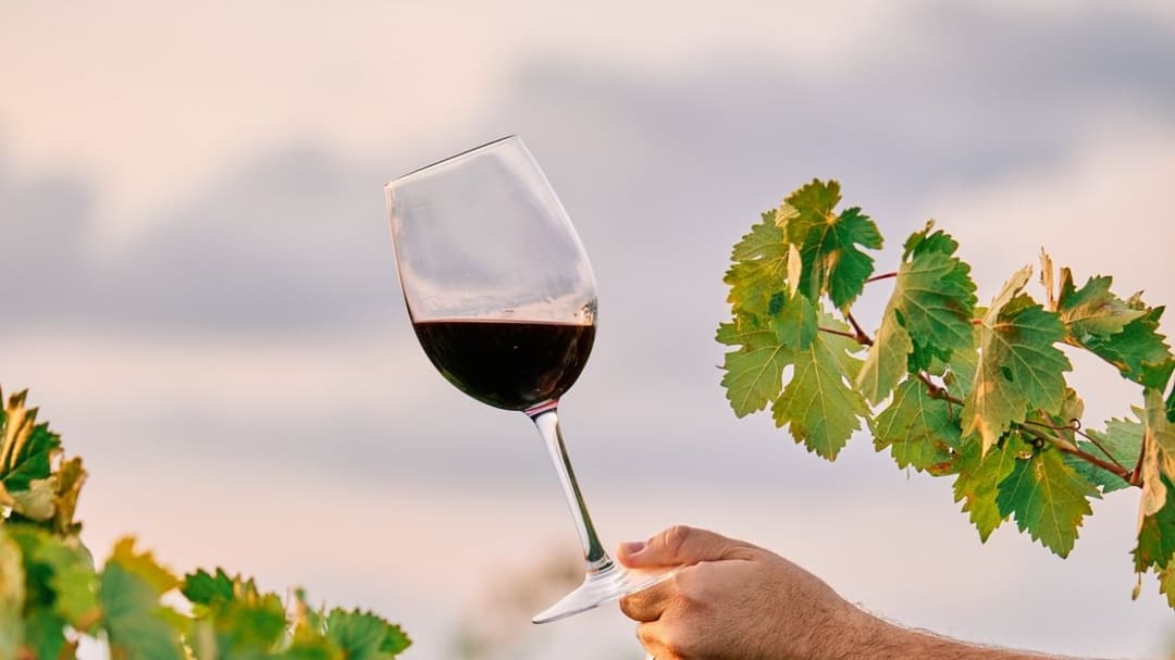factors affecting fine wine prices and quality