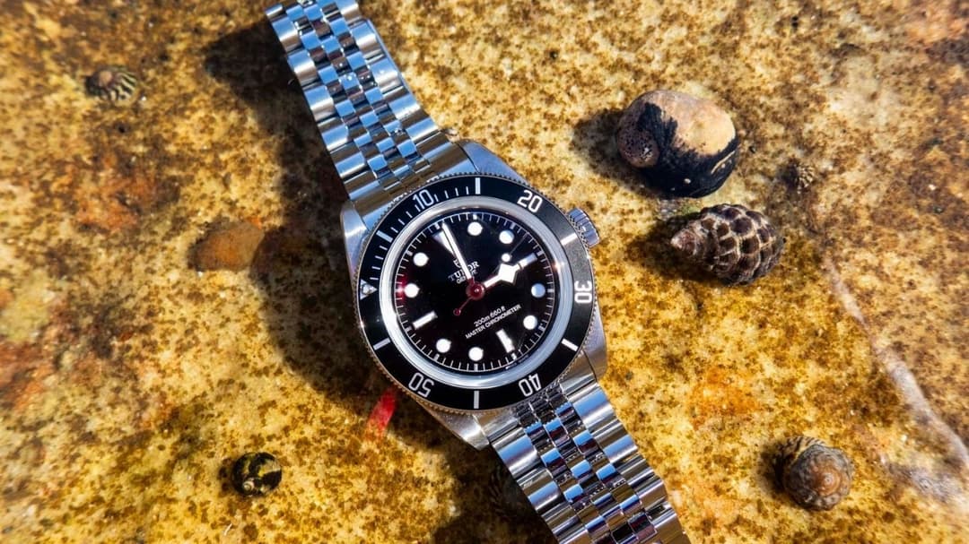 Tudor Black Bay Monochrome