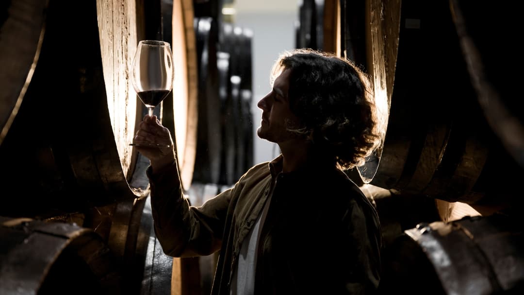French Wine Collectors