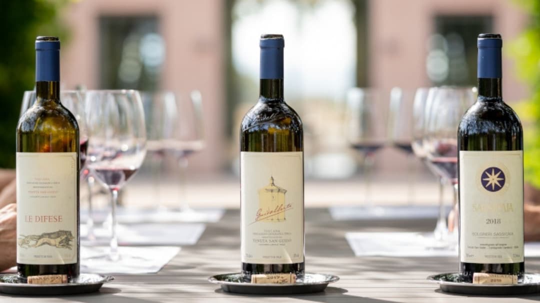 Sassicaia: Cabernet Sauvignon-based Blend