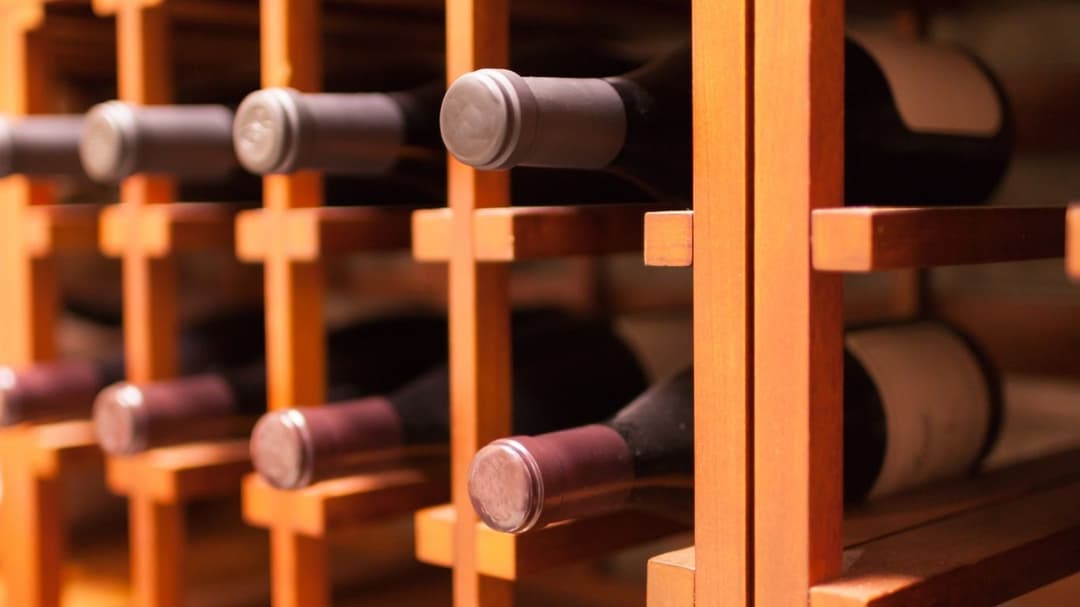 bordeaux vs burgundy