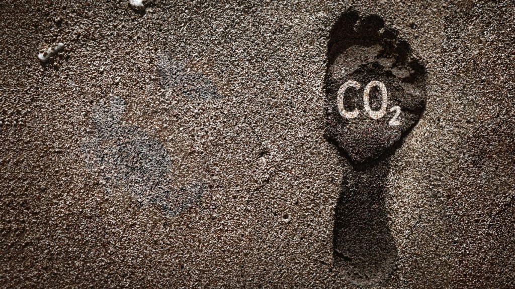 Carbon Footprint