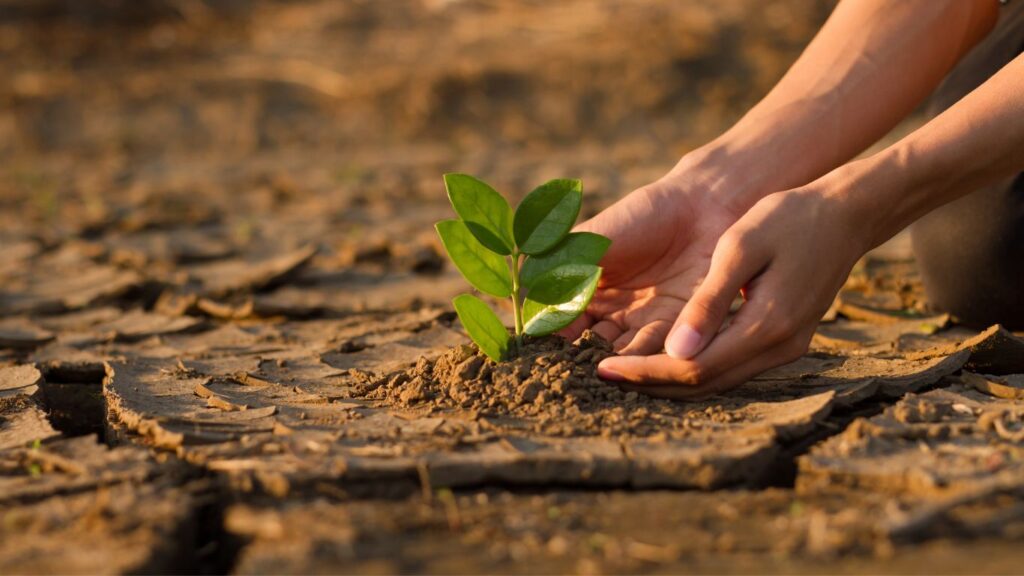 Climate Change and its Effects