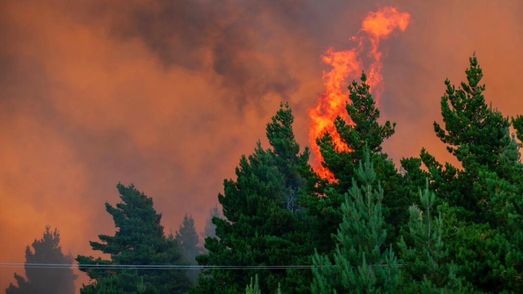Wildfires and Real Estate in the West