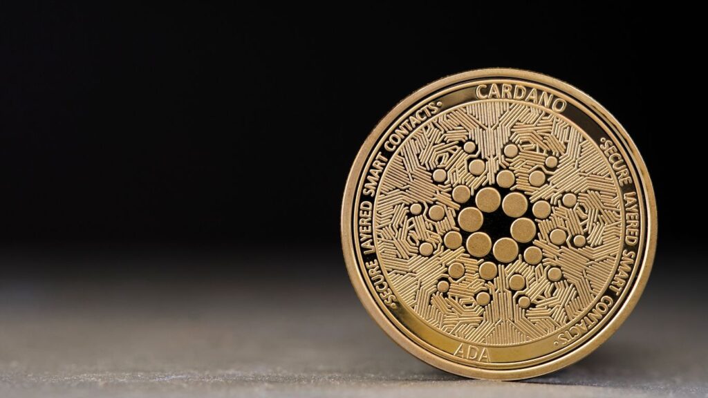 crypto Fork