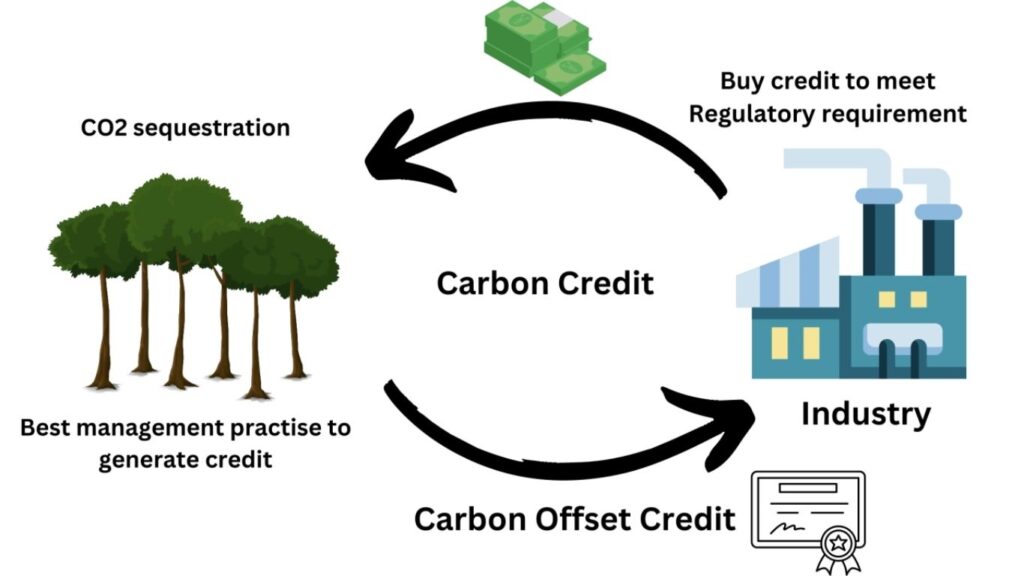 How carbon credits work
