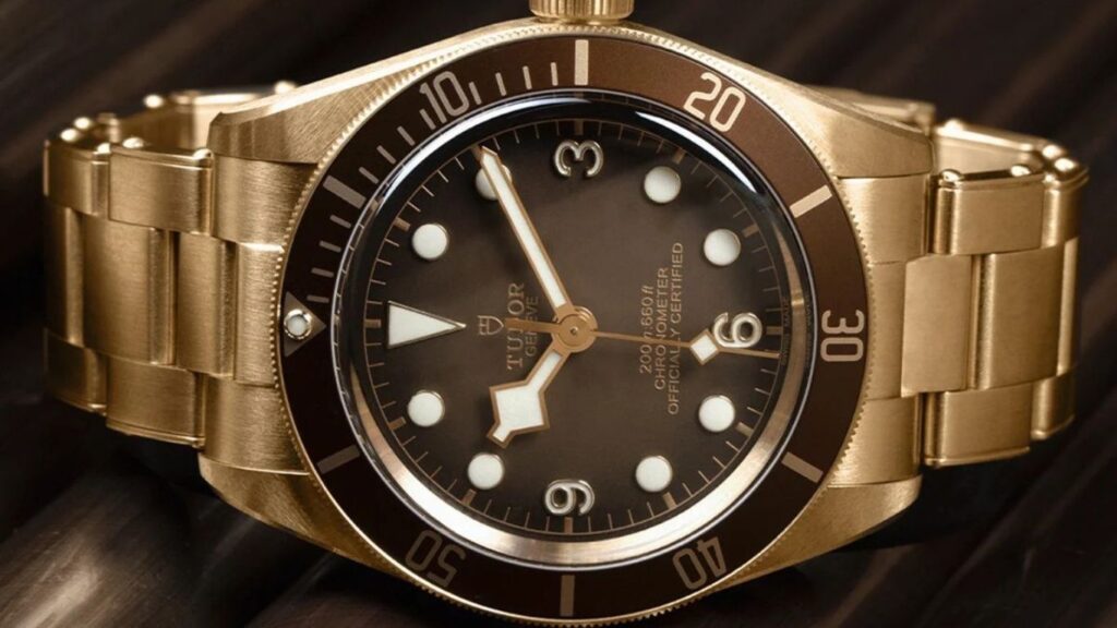 tudor black bay investment