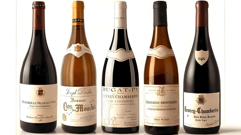 Burgundy Classification System