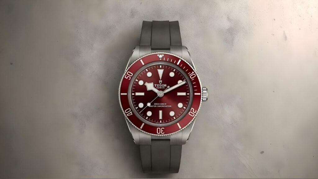 Tudor watches Features