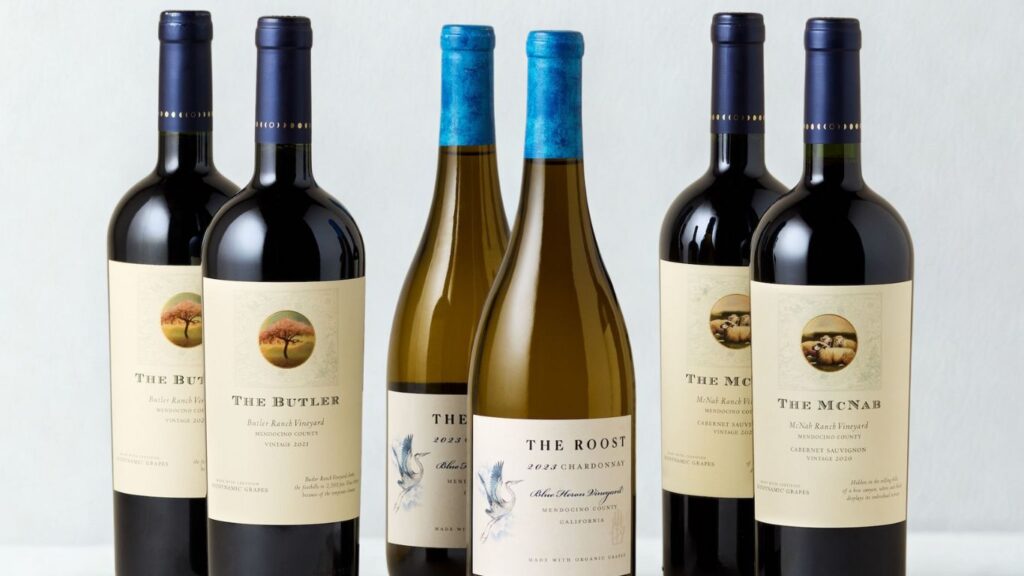 Single-Vineyard Wines vs Blends: Terroir
